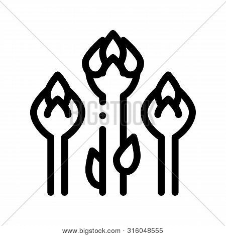 Healthy Food Vegetable Snake Bean Vector Sign Icon Thin Line. Vegan Bio Eco Agriculture Yardlong Bea