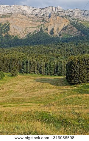 Meadows Under The Cliffs Of Margeriaz In Bauges Mountain Range