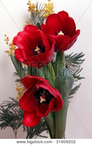 holiday flowers