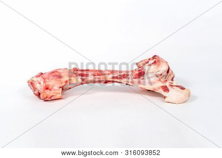 Raw Big Beef Bone For The Dog. Isolated On White Background. Food For Animals. A Delicacy For Your P