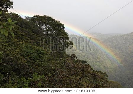 Foresta pluviale Costa Rica
