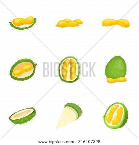 Tropical Durian Icon Set. Cartoon Set Of 9 Tropical Durian Vector Icons For Web Design Isolated On W