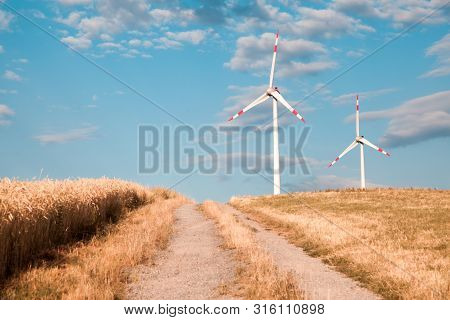 Windmills For Electric Power Production On The Field Of Cereal.