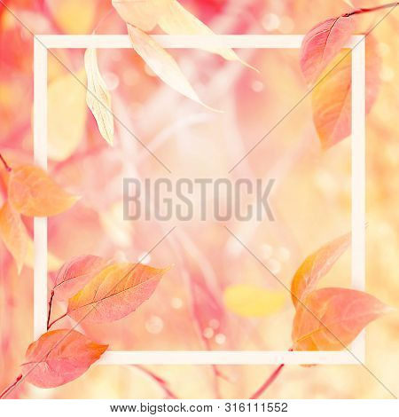Gentle Delicate Autumn Image & Photo (Free Trial) | Bigstock
