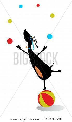 Equilibrist Dog On The Big Ball Juggles The Balls Illustration. Funny Dachshund Balances On The Big 