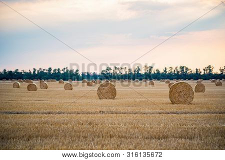 Big Round Haystacks On Field In Countryside