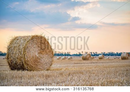 Big Round Haystacks On Field In Countryside