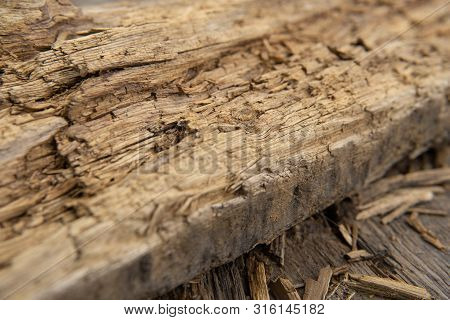 Old Wood Texture. Grunge Retro Vintage Wooden Board. Dusty Background