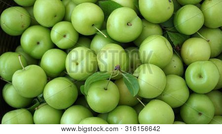 Green Plums On White Ground, Fresh Plums, Sour Plums In A Container, Green And Sour Plums,