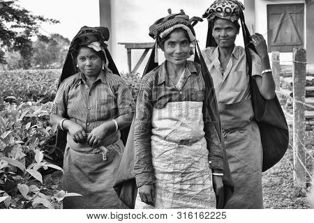 Alipurduar, India- December 4, 2018: A Poor Sheep Shepherd Cross The River With His Cattle At Jaldap