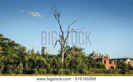 Detroit city neighborhood with many abandoned and neglected properies