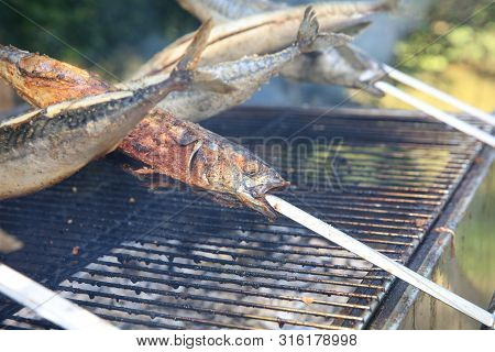 Fresh Mackerel On Stick At Barbecue Party. Germany