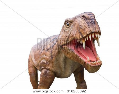 Old Tyrannosaurus T-rex ,dinosaur On White Background