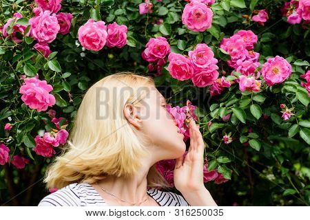 Spring And Summer. Perfume And Cosmetics. Woman In Front Of Blooming Roses Bush. Blossom Of Wild Ros