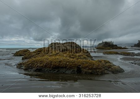 Moss Covered Rock In Tidepool On Overcast Day