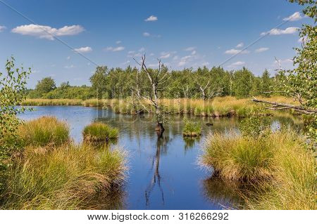 Wetlands Of The National Park Dwingelderveld In Drenthe, Netherlands