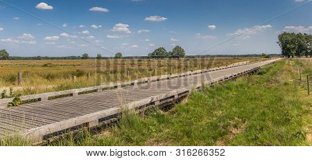 Panorama Of A Wooden Bicycle Bridge In National Park Dwingelderveld, Netherlands