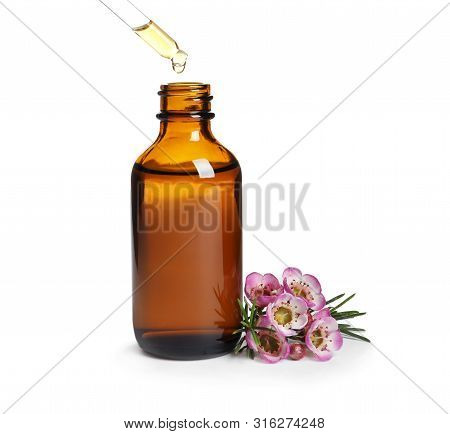 Dripping Natural Essential Oil Into Bottle Near Tea Tree Branch On White Background