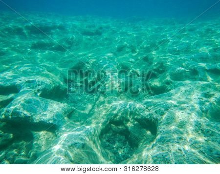 Isolated Malayan Halfbeak In The Water, Needle Fish, Dermogenys Pusilla