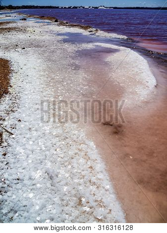 Laguna Salada In Torrevieja, Spain. Pink Salted Lake. Salinas Natural Park.