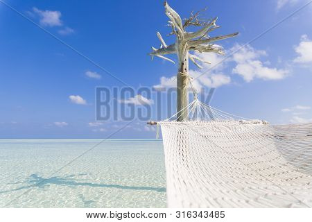 Hammock Over The Sea