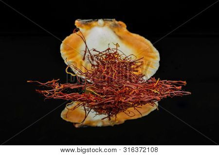 Lot Of Whole Dry Shaffron Thread In Seashell Isolated On Black Glass