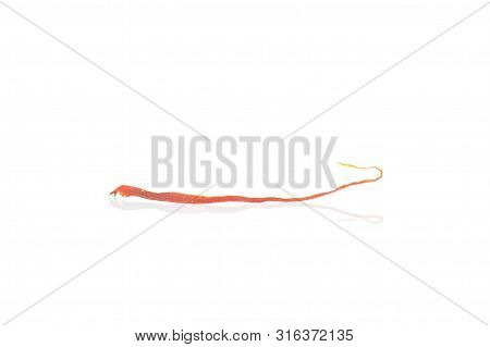 One Whole Dry Shaffron Thread Isolated On White Background