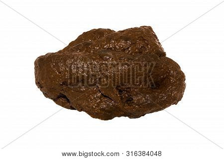 Poop isolated on white background.Shit on a white background.Human excrement.