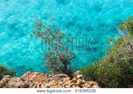 Beautiful Sandy Beach With Rock And Blue Clear Water