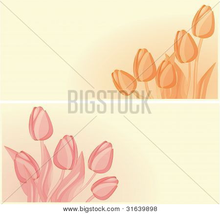 Tulpen Karte Hintergrund