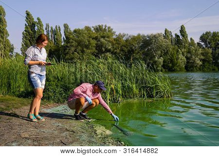 Ecologists Researchers Take Samples Of Green Algae And Enter Data On Tablet