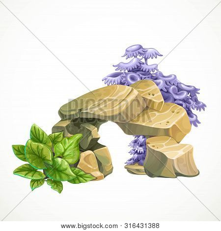 Sandstone With Anemones With Green Algae For Aquarium Decoration Or As A Separate Element Isolated O