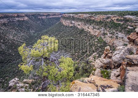 Mesa Verde National Park In Colorado, Usa