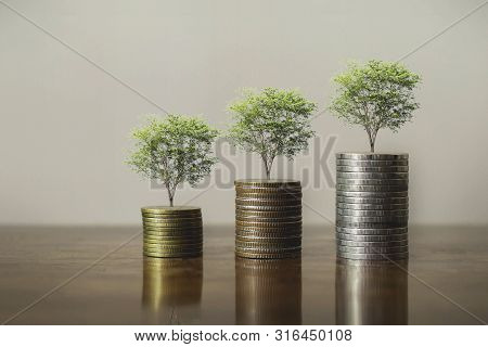 Stack Coins With Plants To Grow Into Steps. Business Growth Concept