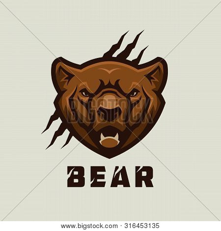Bear Head. Stylized Grizzly Bear Vector Mascot.
