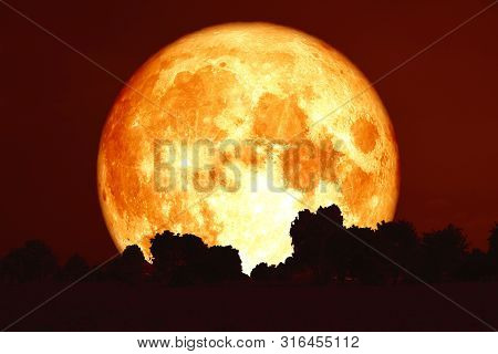 Full Harvest Blood Moon On Red Sky And Silhouette Trees