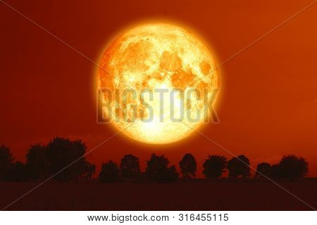 Full Harvest Blood Moon On Red Sky And Silhouette Trees