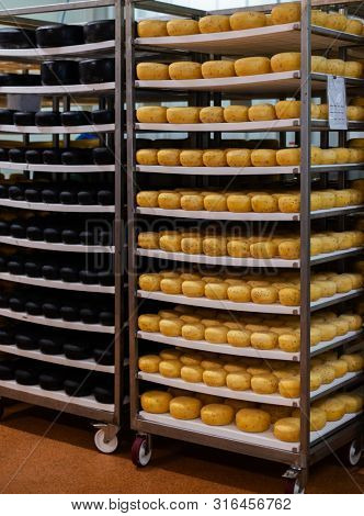 Cheese in a storage room