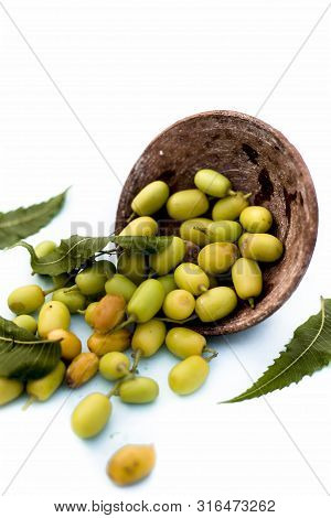 Neem Fruit Or Nim Fruit Or Indian Lilac Fruit In A Clay Bowl Isolated On White Along With Some Fresh