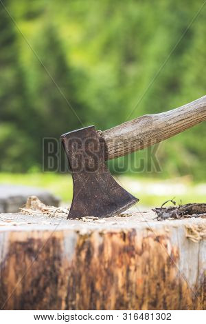 Getting Wood For Fire: Axe Attached To A Tree Trunk