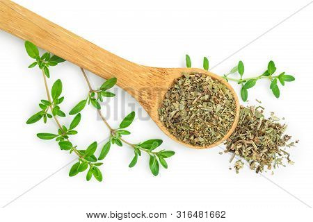 Dried Thyme Leaves In The Wooden Spoon, With Fresh Thyme Isolated On White Background. Top View