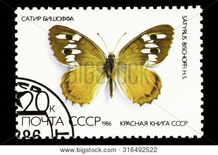 07.24.2019 Divnoe Stavropol Territory Russia Ussr Postage Stamp 1986 Series - Ussr Red Book, Satir B