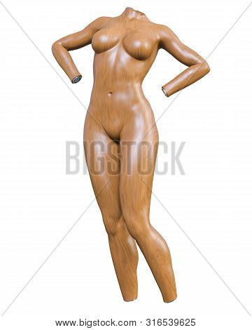 Female Mannequin. Torso