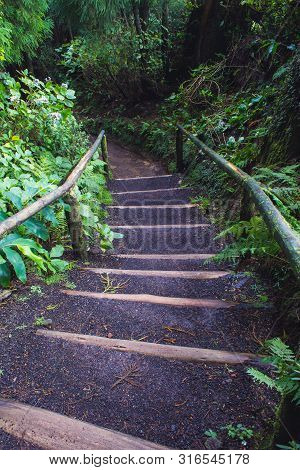 Steps Leading To Lagoa Do Canario On The Island Of Sao Miguel, Azores, Portugal