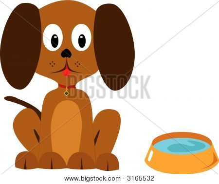犬