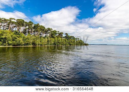 Forest In Island Of Lough Corrib