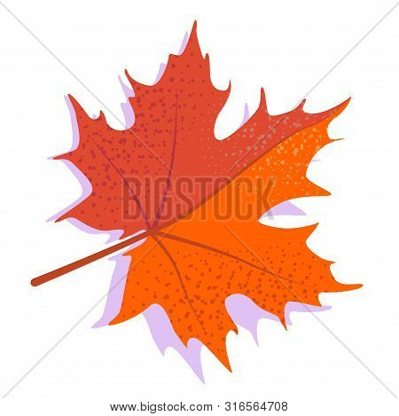 Orange Vector Maple Leaf With Shadow, Isolated On White Background. Single Autumn Leaf.