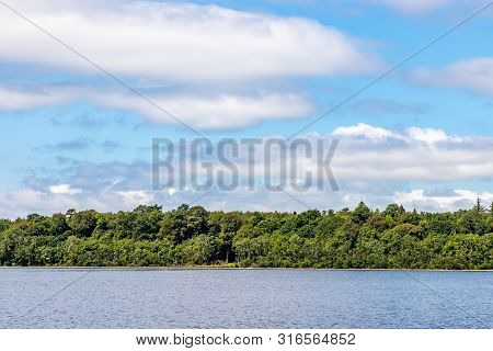 Forest In Island Of Lough Corrib