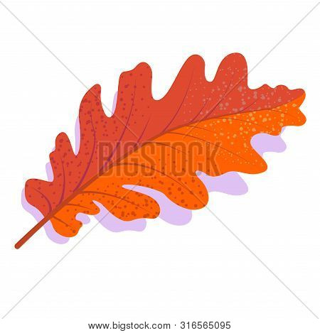 Orange Vector Oak Leaf With Shadow, Isolated On White Background. Single Autumn Leaf.