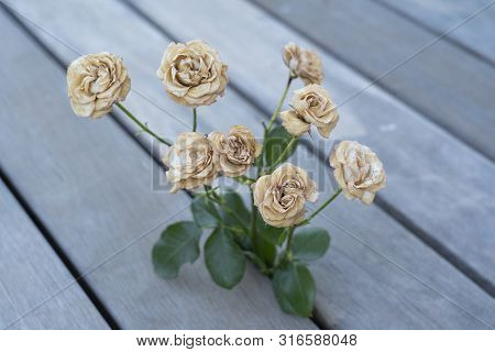 Some Dried White Roses On A Wooden Floor